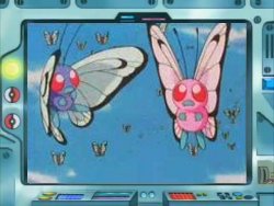 Butterfree-Anime.jpg